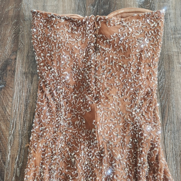 Retrofete Evie Sequin Dress in Silver Nude Strapless Size Medium NWT Maxi - Picture 7 of 14